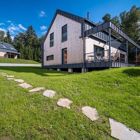Holiday House U Hajenky 13P Lipno Home リプノ・ナト・ヴルタヴォウ エクステリア 写真