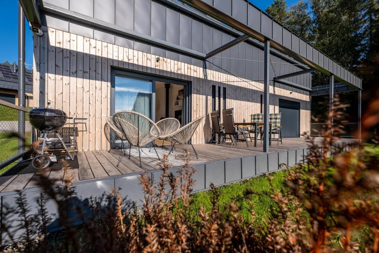 Holiday House U Hajenky 13P Lipno Home リプノ・ナト・ヴルタヴォウ エクステリア 写真