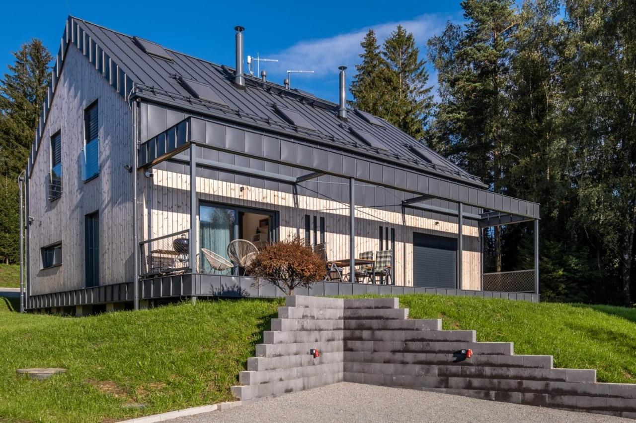 Holiday House U Hajenky 13P Lipno Home リプノ・ナト・ヴルタヴォウ エクステリア 写真