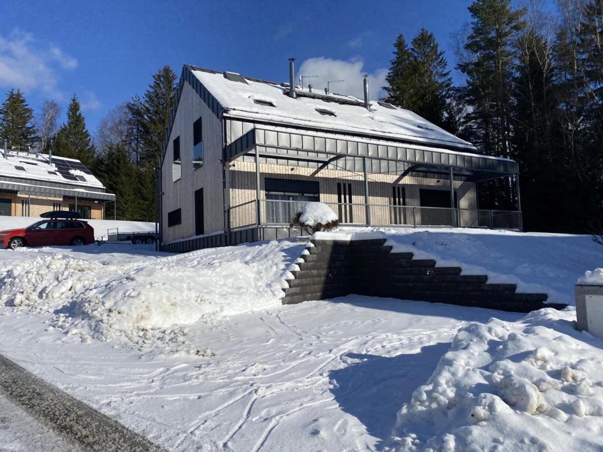 Holiday House U Hajenky 13P Lipno Home リプノ・ナト・ヴルタヴォウ エクステリア 写真