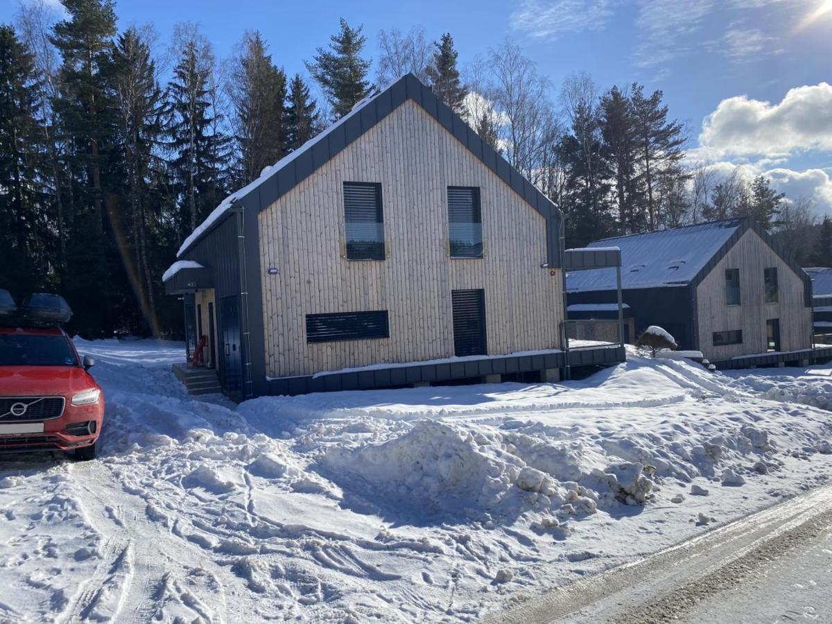 Holiday House U Hajenky 13P Lipno Home リプノ・ナト・ヴルタヴォウ エクステリア 写真